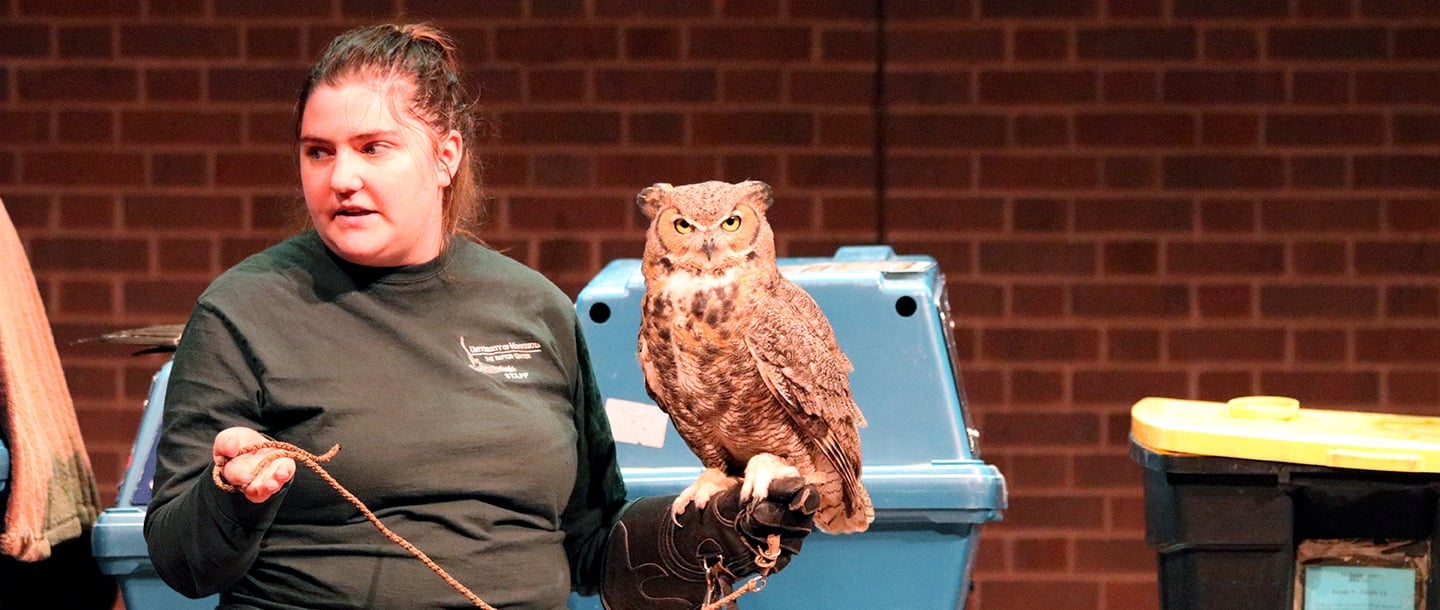 a person holding an owl