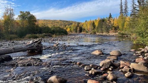Landscape view of river and rocks with trees and the blue sky in the background at Gooseberry Falls State Park