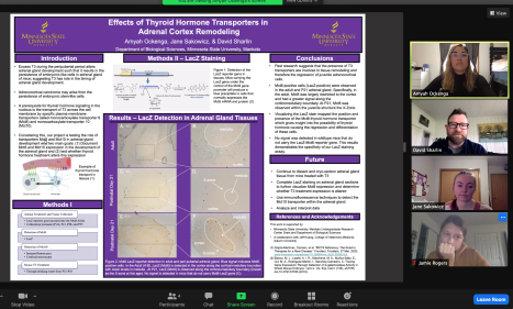  virtual Undergraduate Research Symposium