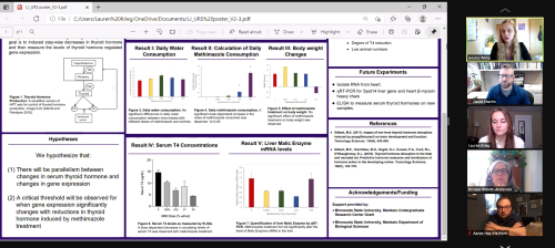  virtual Undergraduate Research Symposium