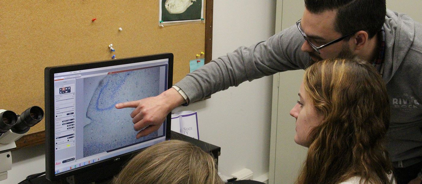 Professor pointing at a screen